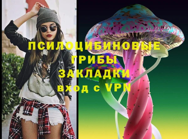 дурь Бронницы