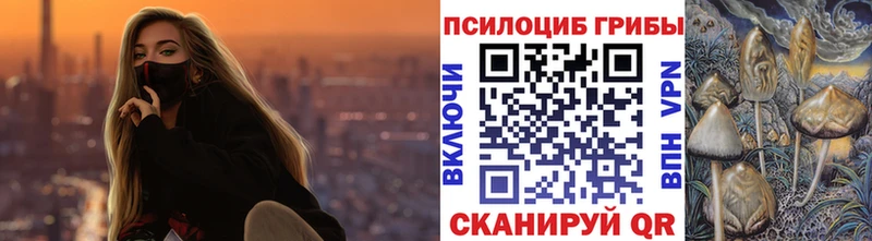 Купить  Мирный  Псилоцибиновые грибы Psilocybe 